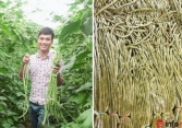 Chàng trai 9X mở xưởng sấy bí đỏ, trồng đậu đũa muối chua xuất khẩu chua thu hàng tỷ đồng 