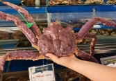 Cua hoàng đế giảm giá còn 780.000 đồng/kg liệu chất lượng ra sao?