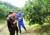 Chàng trai phố thị 'rót' mồ hôi 'tưới' xanh mảnh đất cằn Thung Lai