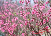 Lịch nghỉ các ngày lễ trong năm