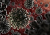 Biến chủng mới của virus corona tại Anh có tốc độ lây lan nhanh 