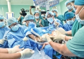 Ca tách cặp song sinh Trúc Nhi - Diệu Nhi lọt vào đề cử 'Thành tựu y khoa Việt Nam 2020'