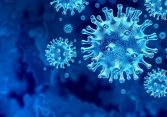 Biến chủng của virus SARS-CoV-2 đang ở mức độ nào? 