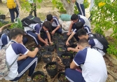 Thay đổi hình thức kiểm tra đánh giá, mỗi trường một kiểu!