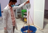 Yemen rơi vào nghèo đói nghiêm trọng sau khi bị cắt viện trợ nhân đạo