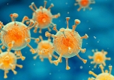 Diễn biến phức tạp của 12 biến chủng virus corona trên toàn cầu