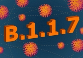 Biển thể virus SARS-CoV-2 ở Anh tiếp tục có có biến thể mới