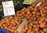 Sự thực về cam sành đặc sản giá rẻ 8.000 - 10.000 đồng/kg