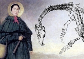 Mary Anning - Nữ cổ sinh vật học bị lãng quên