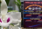 Chủ vườn lan var Đất Mỏ lên tiếng về vụ giao dịch lan đột biến gần 300 tỷ đồng