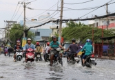 Mưa lớn ở Sài Gòn khiến cây đổ, nhà ngập nước