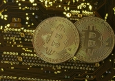 'Đây vẫn chưa phải thời điểm 'bong bóng Bitcoin' sụp đổ'