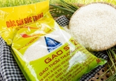 Thương vụ Việt Nam khiếu nại việc giống lúa ST25, ST25 bị đăng ký ở Australia