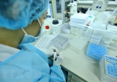 Chủng virus Ấn Độ và Anh tiếp tục được phát hiện ở nhiều địa phương