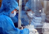 Việt Nam xây dựng thành công quy trình giải trình tự hệ gen virus SARS-CoV-2