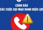 Website mạo danh điện lực, tin giả về lịch cắt điện để lừa tiền