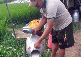 Người dân miền Tây đổ bỏ sữa bò vì không bán được