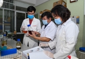 Việt Nam điều chế thành công thuốc tiền lâm sàng trị Covid-19