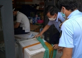 Thu giữ hàng nghìn vỉ thuốc Trung Quốc được quảng cáo là chữa Covid-19