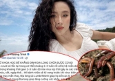 Xử lý nghiêm các nghệ sĩ lan truyền thông tin giun đất chữa khỏi Covid-19