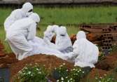 Ấn Độ bùng phát dịch bệnh do virus Nipah gây ra