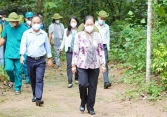 Rục rịch mở lại tour du lịch nội địa