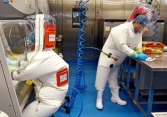 Lộ đề xuất của các nhà khoa học Vũ Hán và Mỹ muốn tạo virus corona mới cách đây 3 năm