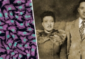 Henrietta Lacks: Người phụ nữ da màu tạo đột phá trong cuộc chiến chống ung thư cổ tử cung