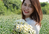 Cúc hoạ mi đầu mùa xuống phố