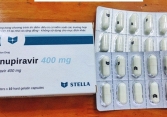Việt Nam sẽ sản xuất thuốc trị COVID-19 Molnupiravir