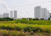 TP.HCM kiến nghị không tăng giá đất 