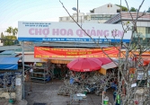 Hoa lê, hoa mận rừng nở rộ giữa trời đông, người Hà Nội chơi tết sớm
