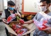 Thanh long phải bán tháo vì Trung Quốc tạm dừng nhập khẩu