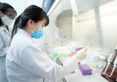 Nhiều người Việt mang đột biến gene ung thư di truyền