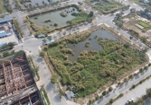 Tân Hoàng Minh vẫn chưa có văn bản chính thức về việc 'trả' khu đất trúng đấu giá ở Thủ Thiêm cho TP.HCM