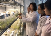 PGS.TS Trần Thị Thu Hà - nhà khoa học, nhà quản lý tài ba