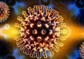 Nữ bệnh nhân HIV đầu tiên trên thế giới được chữa khỏi