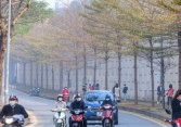 Ngắm Hà Nội đẹp ngỡ ngàng trong mùa cây thay lá