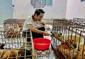 Người đàn ông chi 24 triệu đồng giải cứu 31 chú chó trong lò mổ