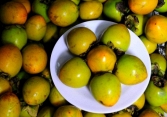 Mổ dạ dày sau khi ăn quả hồng ngâm