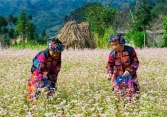 Những điểm du lịch ở Việt Nam bạn phải đến vào mùa Thu