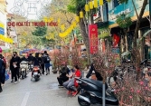 Tuyến phố nào ở Hà Nội bị cấm để mở chợ hoa Xuân Tết Quý Mão?