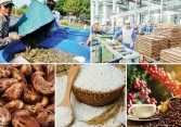 Việt Nam, bếp ăn mới của thế giới?