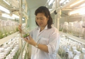Nữ Tiến sĩ của nhà nông