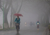 Chuyên gia lên tiếng khuyến cáo người dân các biện pháp bảo vệ sức khỏe khi trời liên tục nồm ẩm