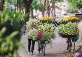 Hoa loa kèn tràn ngập các tuyến phố Thủ đô, giá giảm mạnh bất ngờ