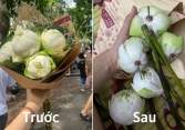“Kiếp nạn” mua hoa trên phố Phan Đình Phùng: Lúc mua tươi rói, về đến nhà méo mặt với sự thật bên trong 