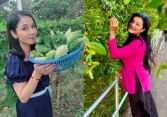 Hai mỹ nhân tên 'Trinh' bỏ phố về quê, sống bình dị, vui thú điền viên sau những sóng gió cuộc đời