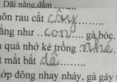 Bài kiểm tra tiếng Việt lớp 1 khiến người lớn ngậm ngùi 'khó phết', đọc câu trả lời của học trò mà cười ngất