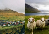 Faroe - quần đảo thiên đường của cừu và những ngôi nhà đầy sắc màu mọc trên cỏ xanh